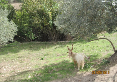 Agriturismo Le Bave Di Bacco